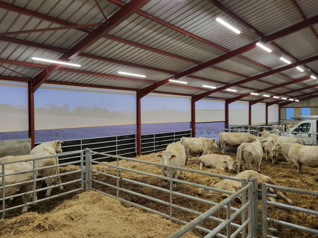 Bâche agricole : Filet brise vent pour protéger son bétail et réguler la température dans sa stabulation