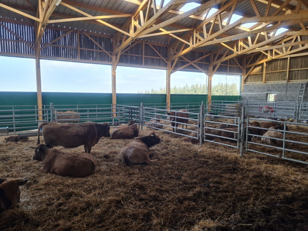 Filets brise-vent électriques pour le bien-être animal